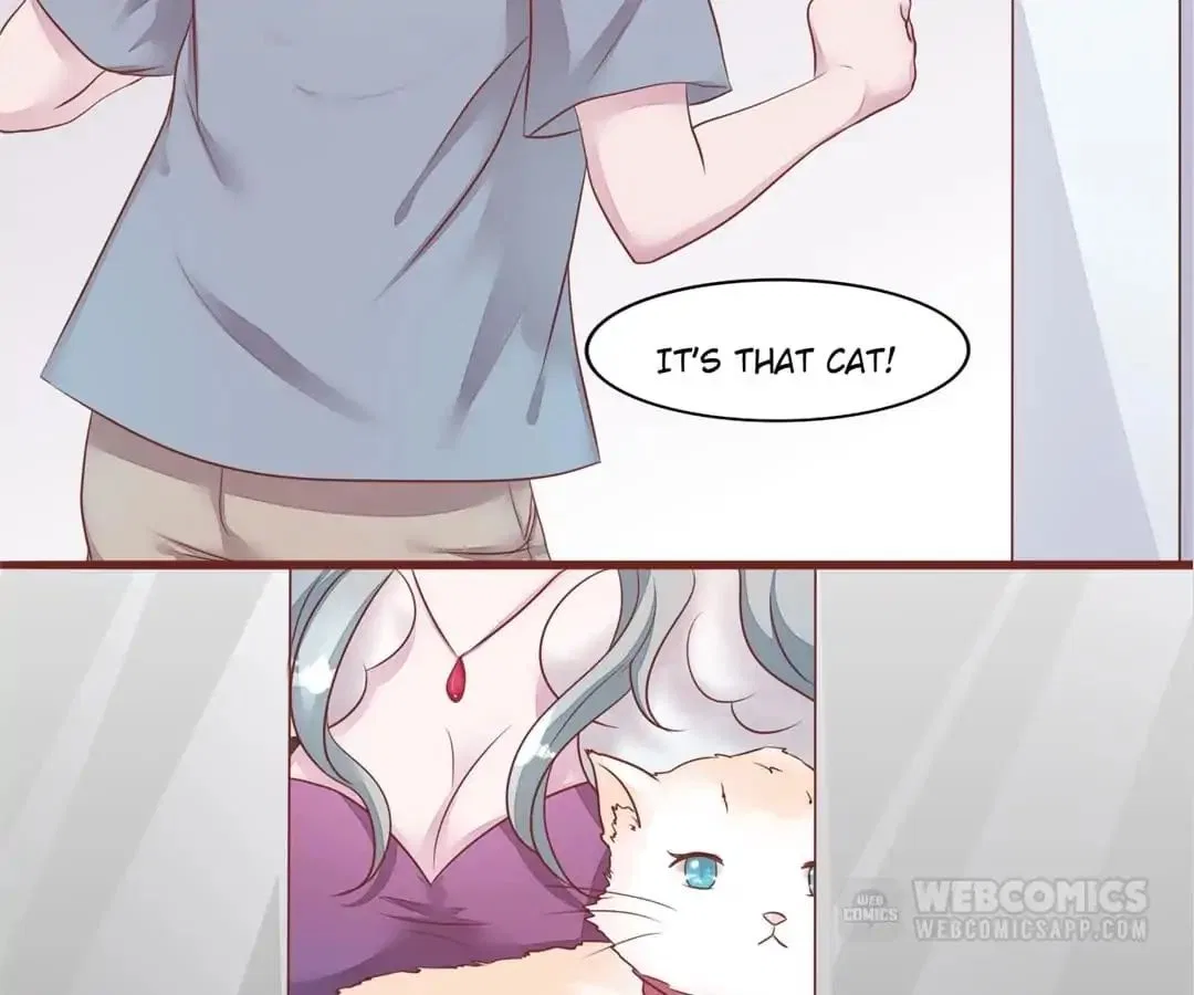 Guide to Raising Kitty Boyfriend Chapter 52 – Page 70