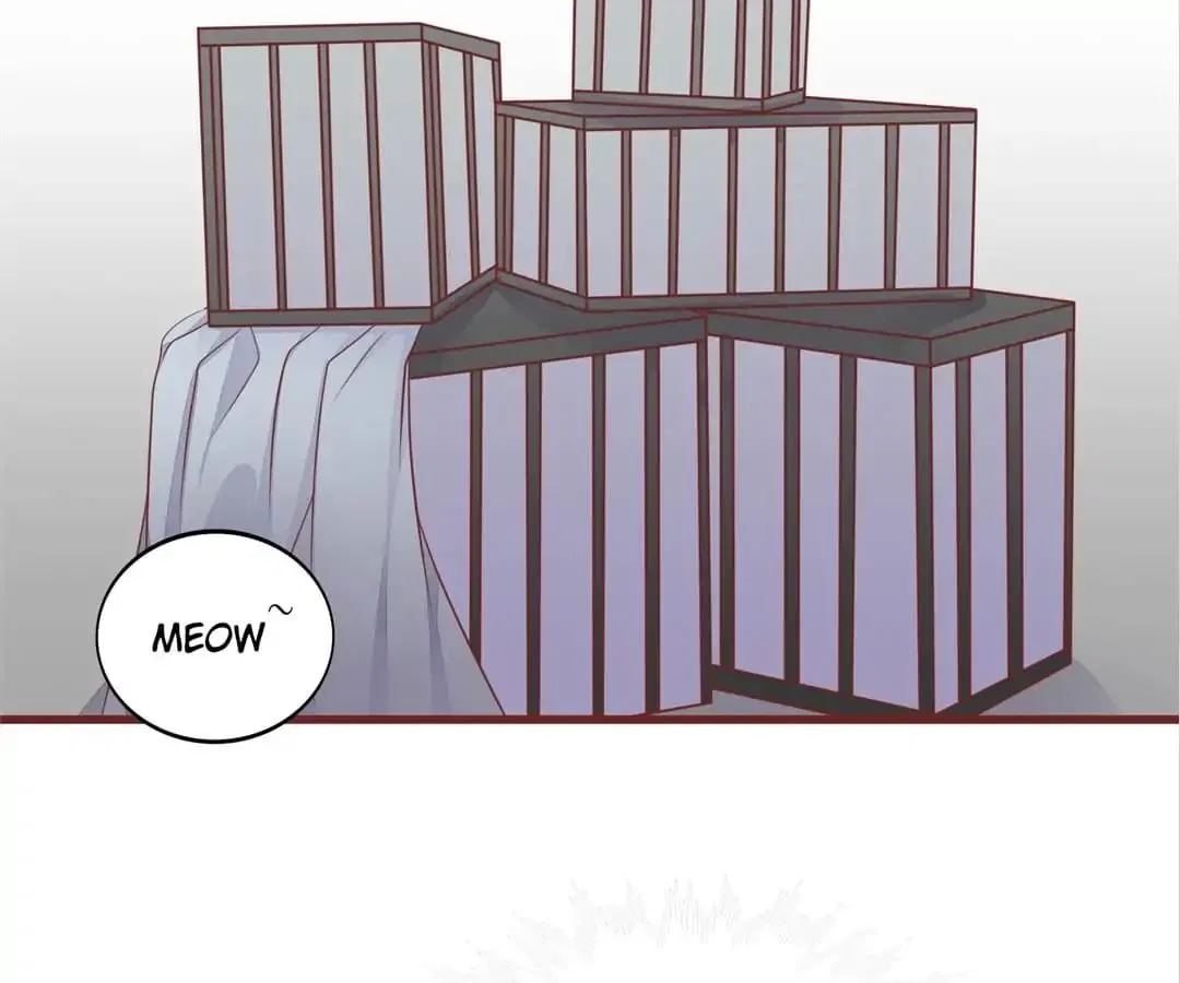 Guide to Raising Kitty Boyfriend Chapter 50 – Page 13