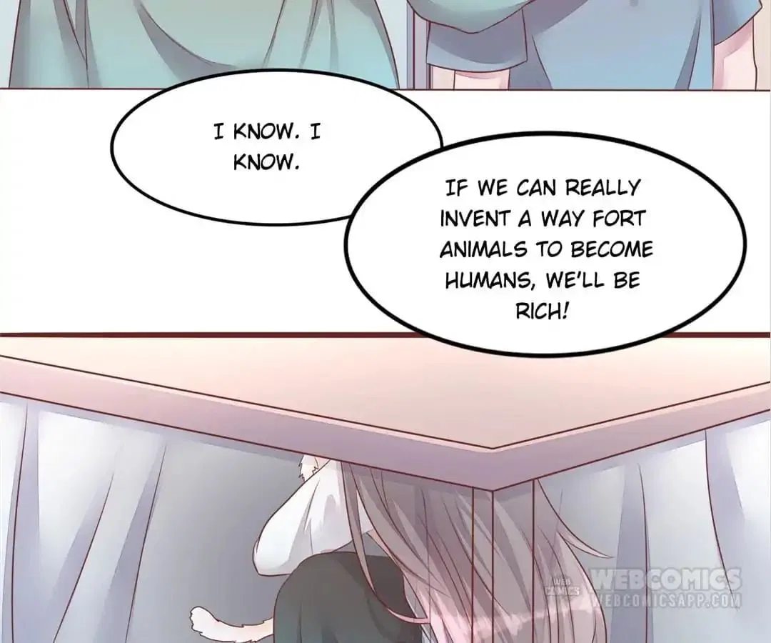 Guide to Raising Kitty Boyfriend Chapter 50 – Page 34