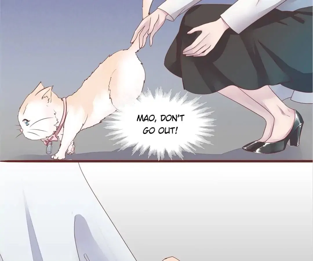 Guide to Raising Kitty Boyfriend Chapter 50 – Page 40