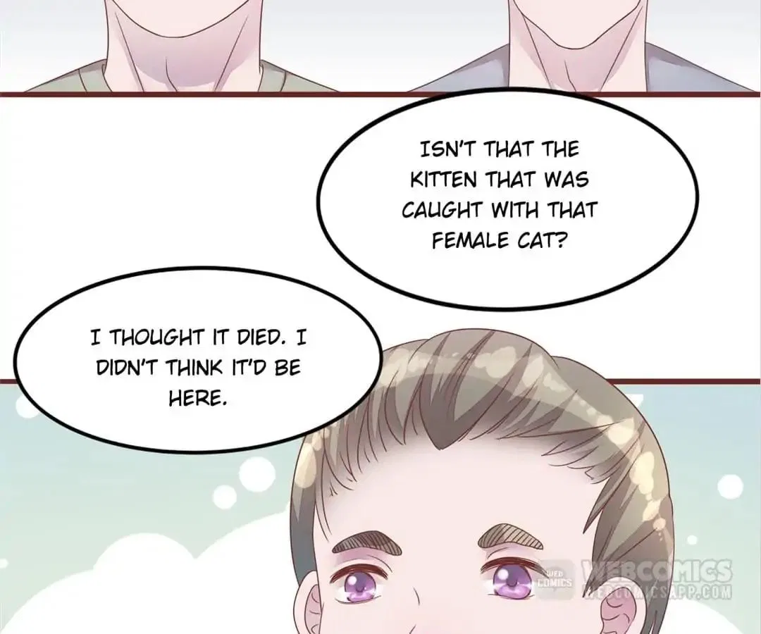 Guide to Raising Kitty Boyfriend Chapter 50 – Page 42