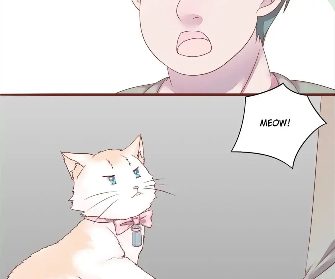 Guide to Raising Kitty Boyfriend Chapter 50 – Page 43
