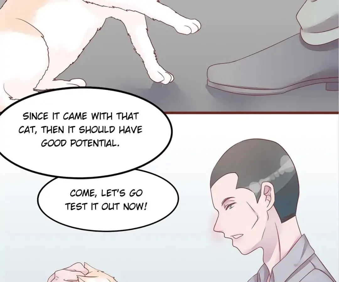 Guide to Raising Kitty Boyfriend Chapter 50 – Page 44