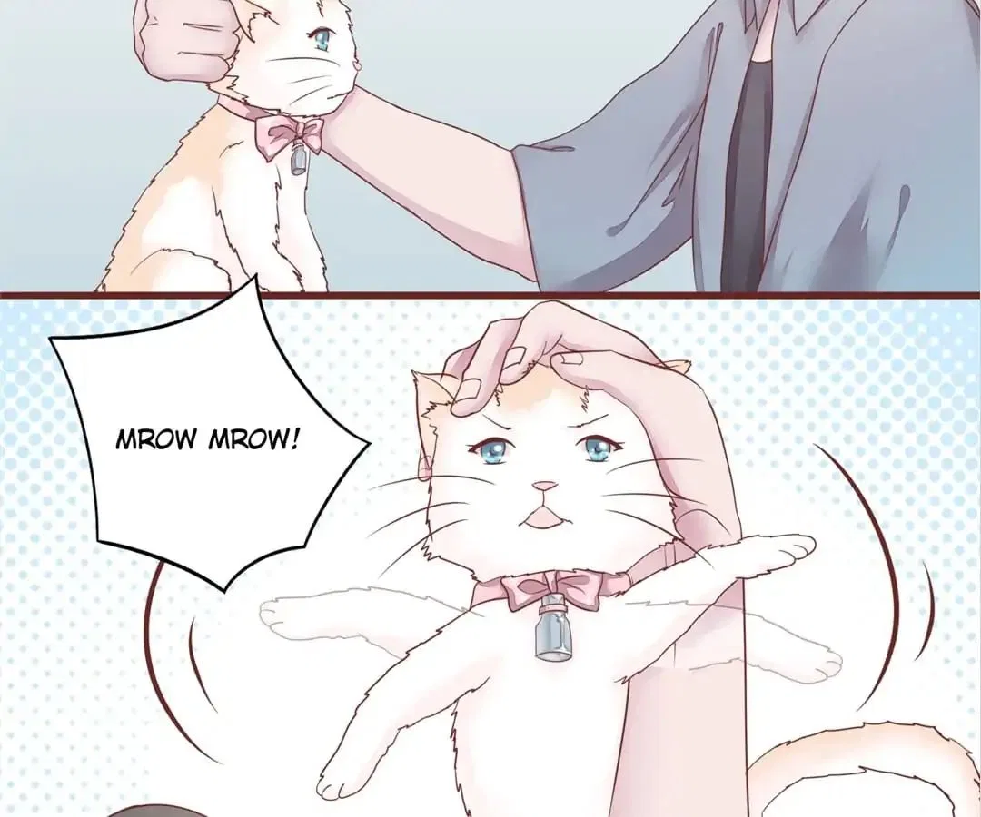 Guide to Raising Kitty Boyfriend Chapter 50 – Page 45
