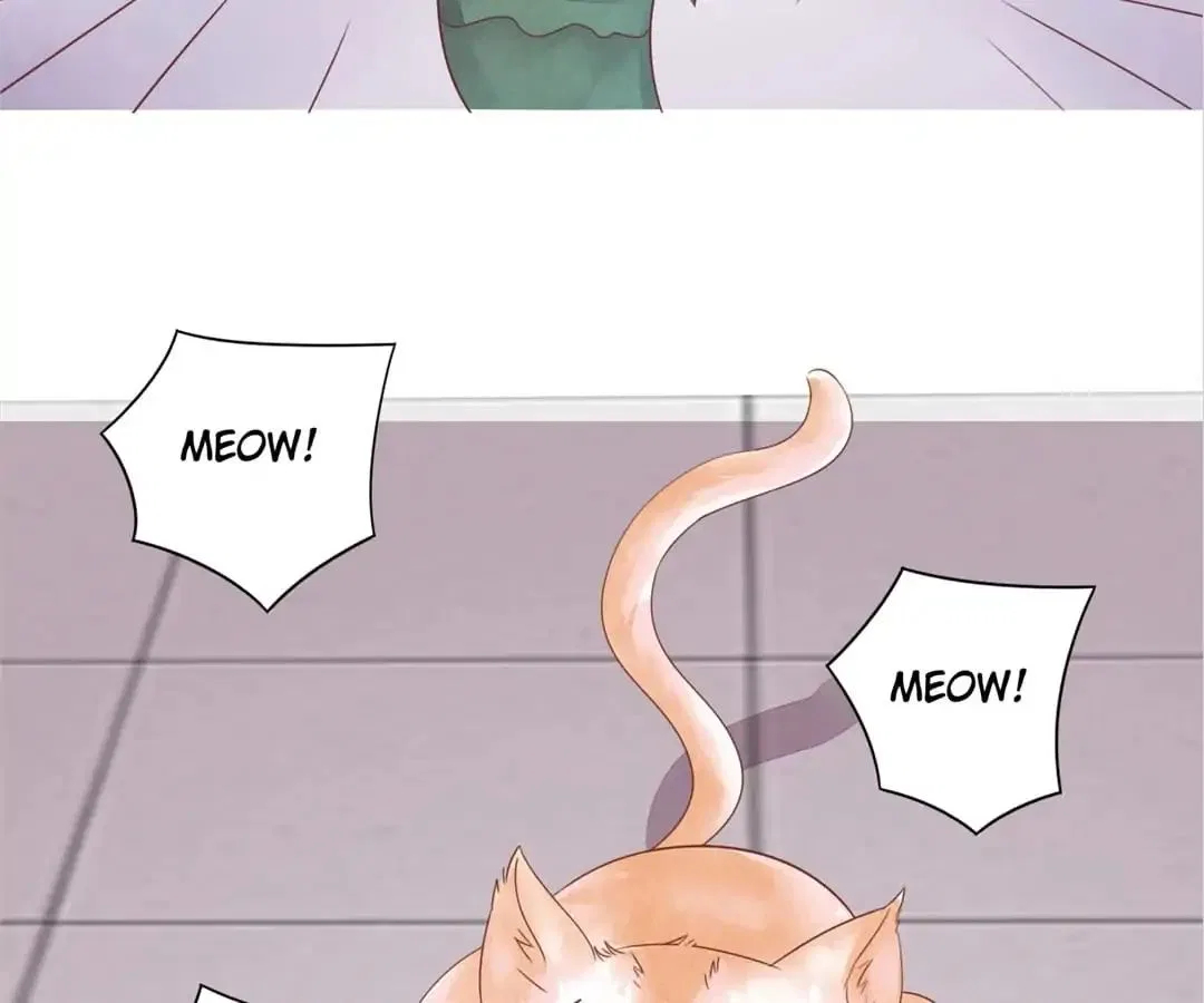 Guide to Raising Kitty Boyfriend Chapter 48 – Page 4
