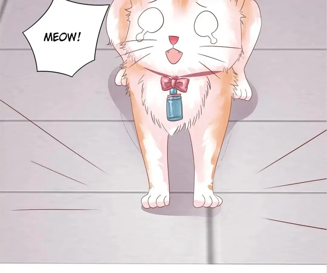 Guide to Raising Kitty Boyfriend Chapter 48 – Page 5