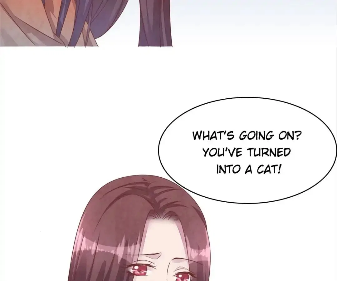 Guide to Raising Kitty Boyfriend Chapter 48 – Page 7