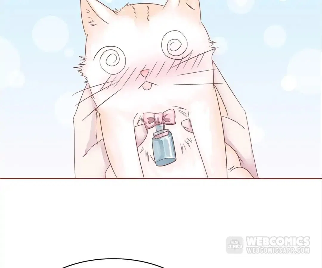 Guide to Raising Kitty Boyfriend Chapter 48 – Page 38