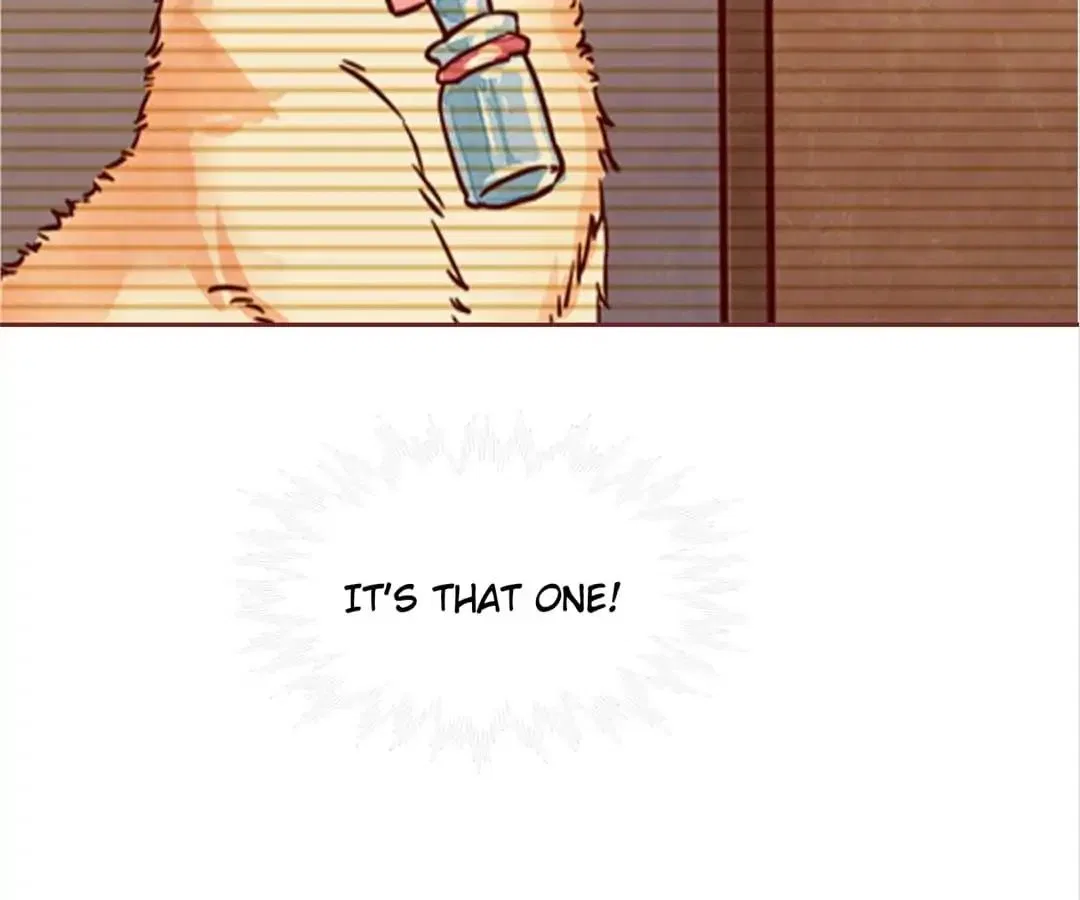 Guide to Raising Kitty Boyfriend Chapter 48 – Page 71