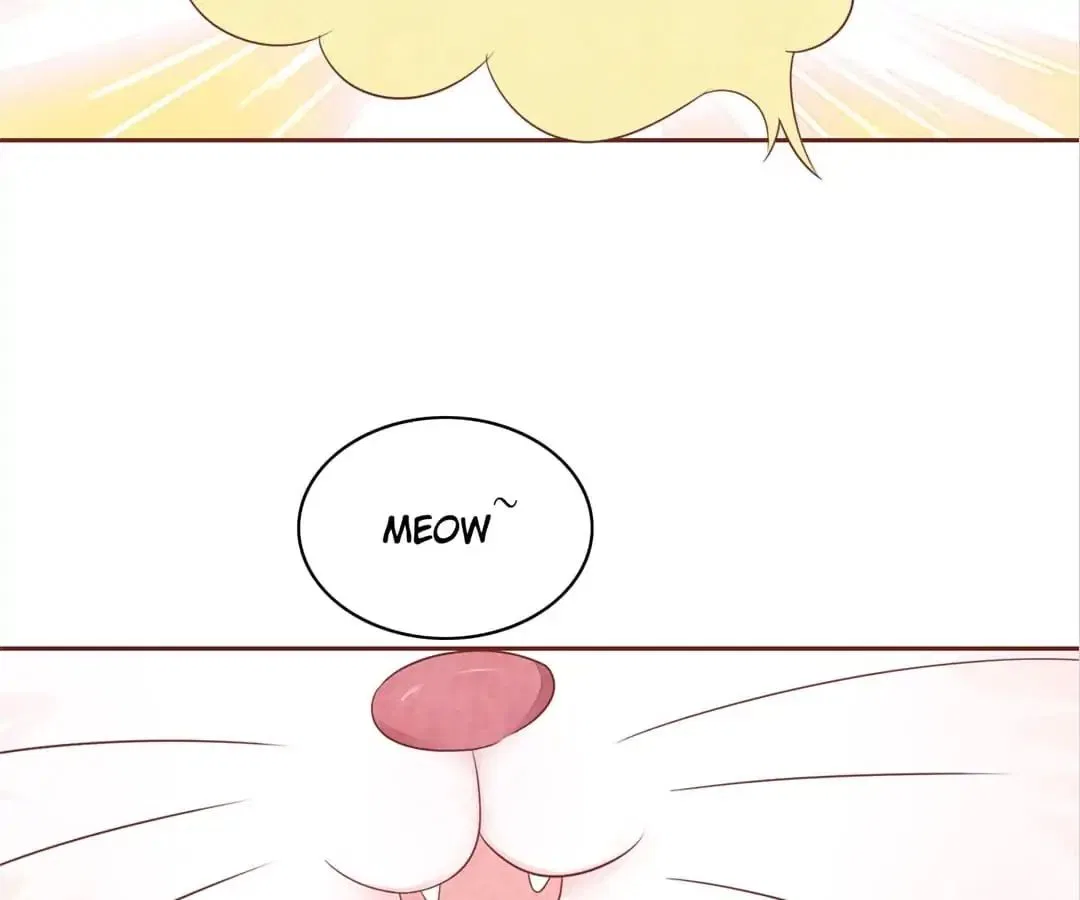 Guide to Raising Kitty Boyfriend Chapter 47 – Page 72