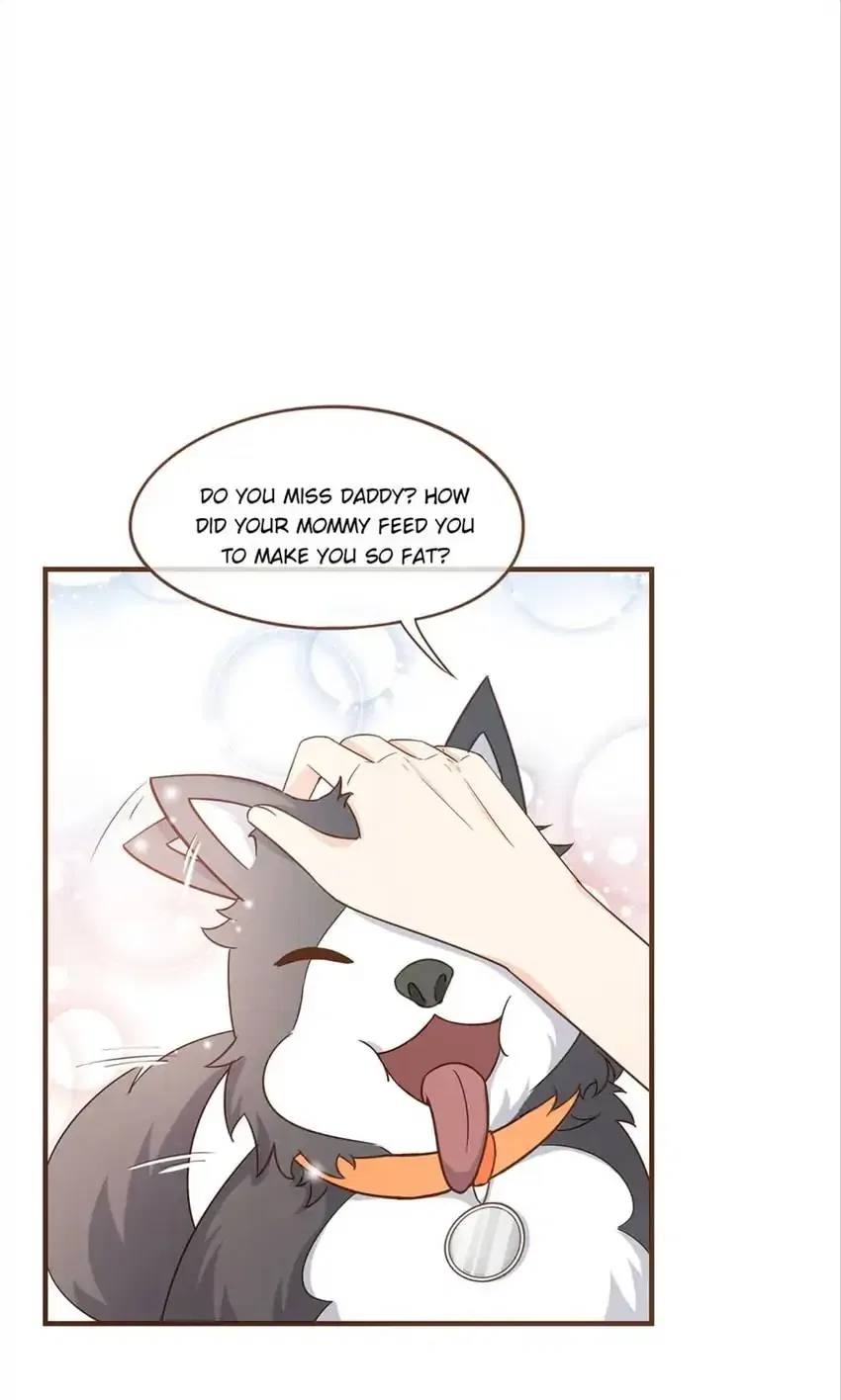 Ms. Revenge Chapter 81 – Page 4