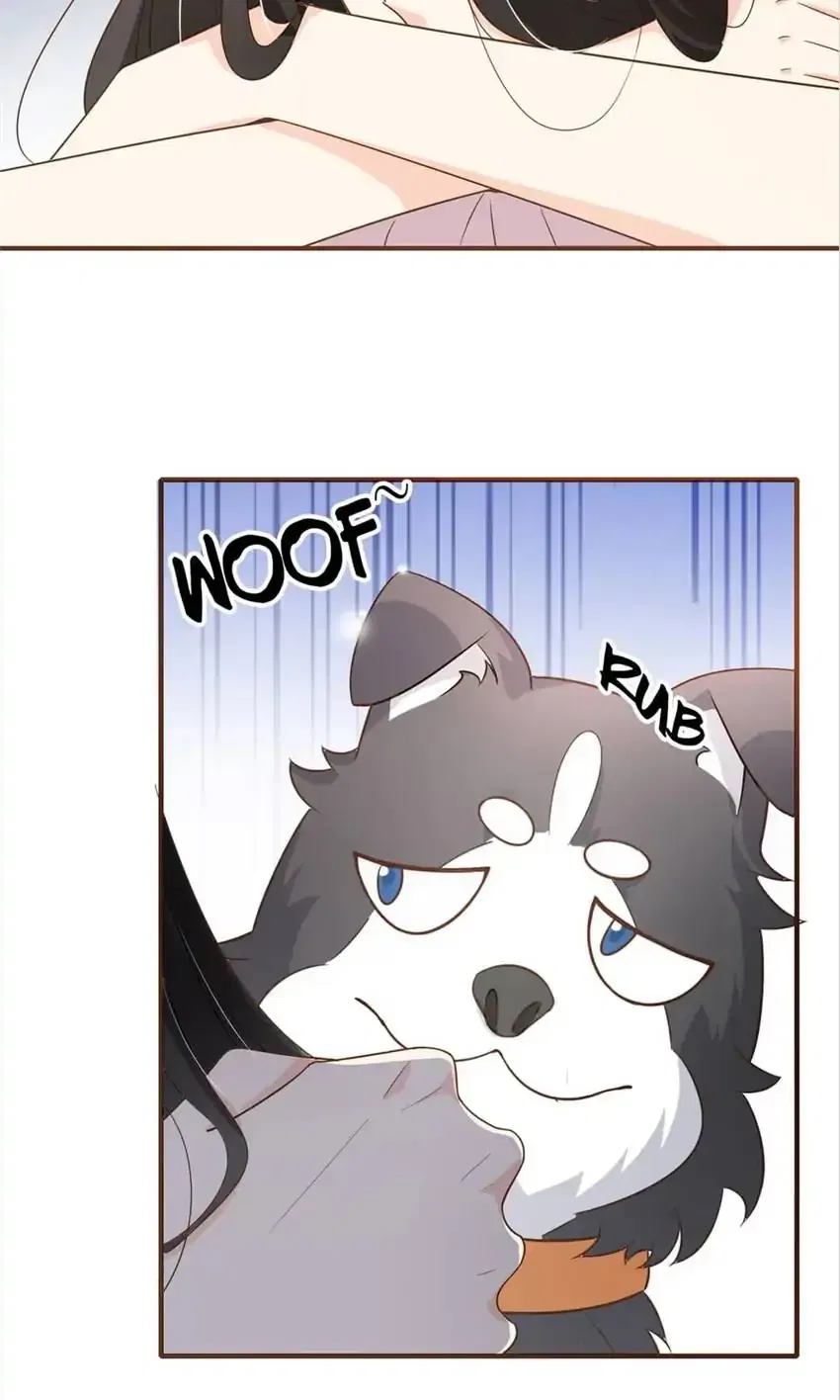 Ms. Revenge Chapter 79 – Page 7