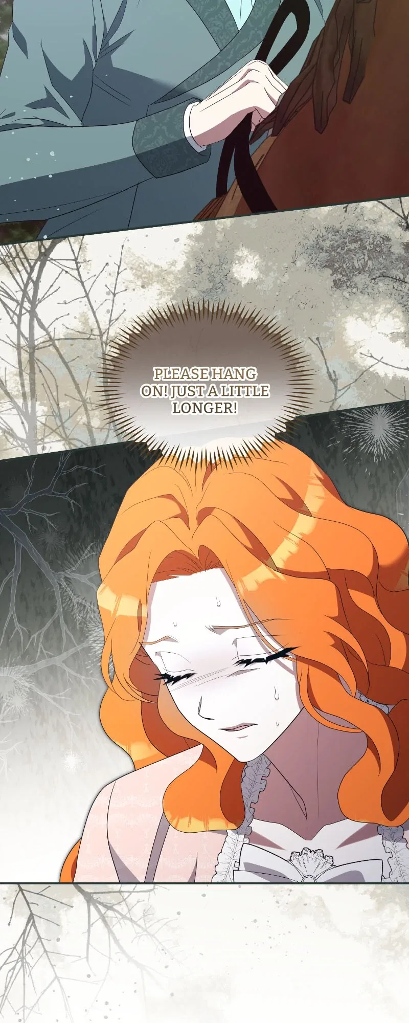 To Those Who Long for My Destruction Chapter 118 – Page 66
