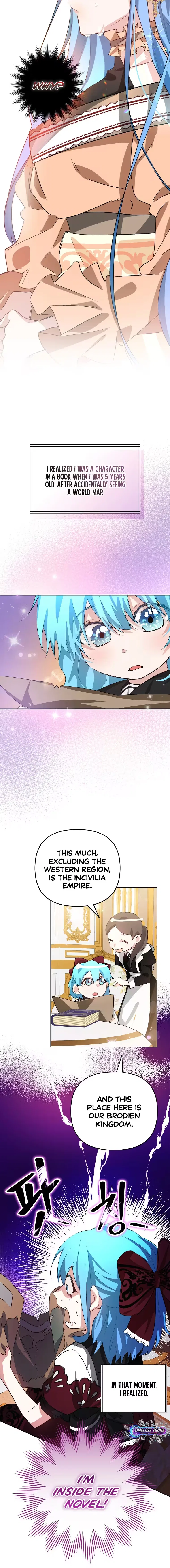 I Reincarnated as the Princess of a Country That Is Going to Destroyed by Male Protagonist Chapter 1 – Page 9