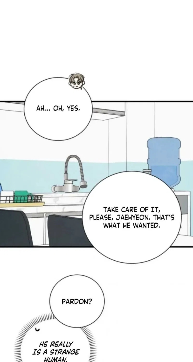 Love Me More (Kim In-Jeong) Chapter 16 – Page 19
