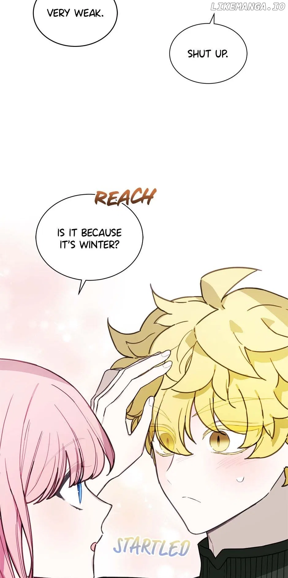 Princess’s Doll Shop Chapter 73 – Page 3