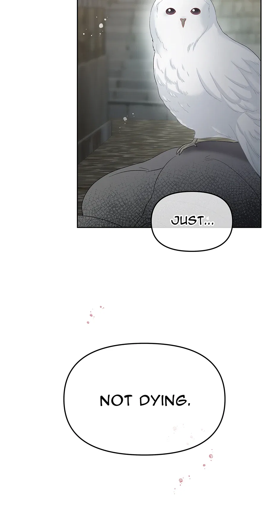 Don’t Concern Yourself With That Book Chapter 70 – Page 49