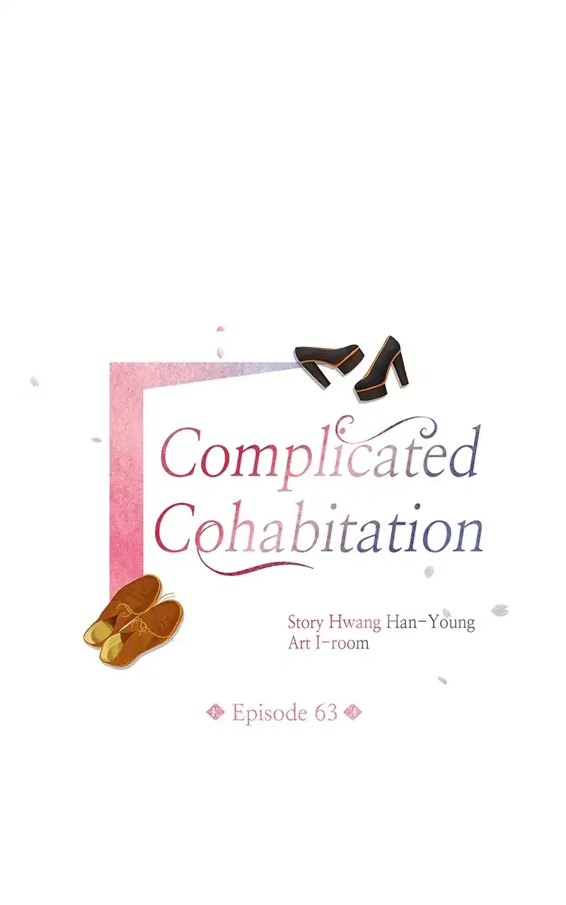 Complicated Cohabitation Chapter 63 – Page 17