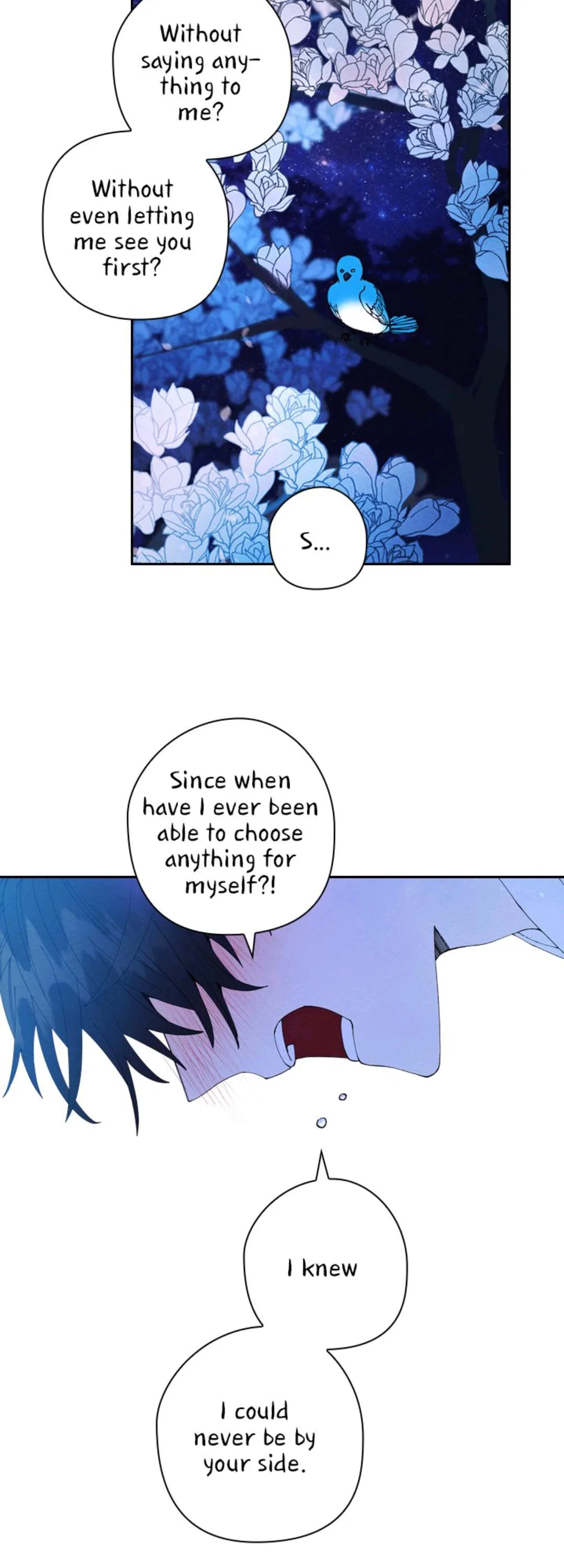 Under The Blue Moonlight Chapter 40 – Page 4