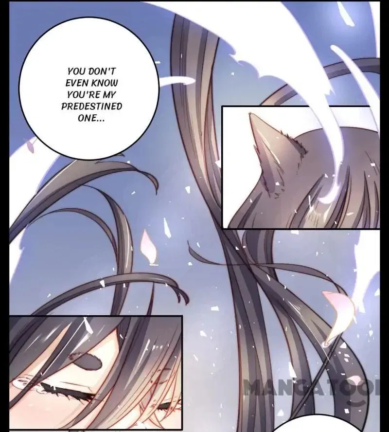 Fox’s Love Notebook Chapter 39 – Page 18