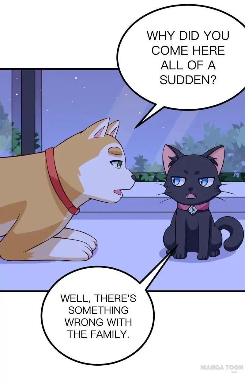 At Your Service, Kitty Chapter 85 – Page 35