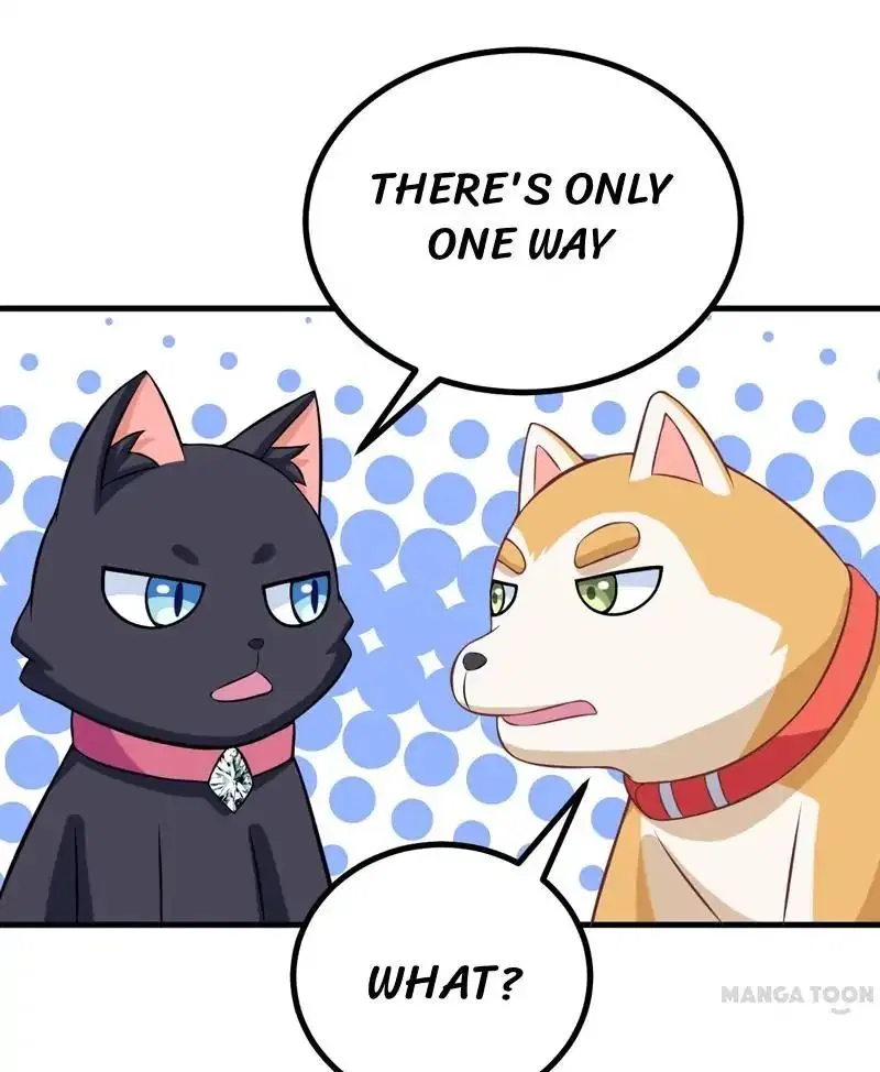 At Your Service, Kitty Chapter 83 – Page 1