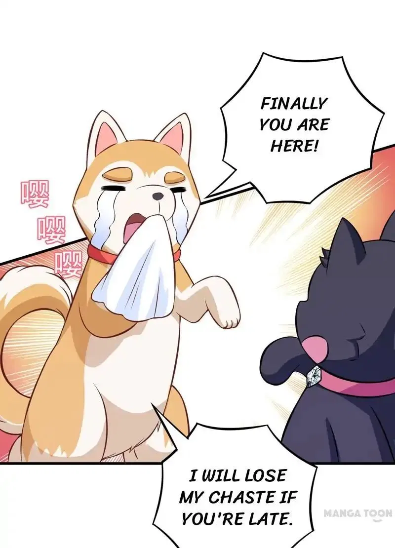At Your Service, Kitty Chapter 82 – Page 18