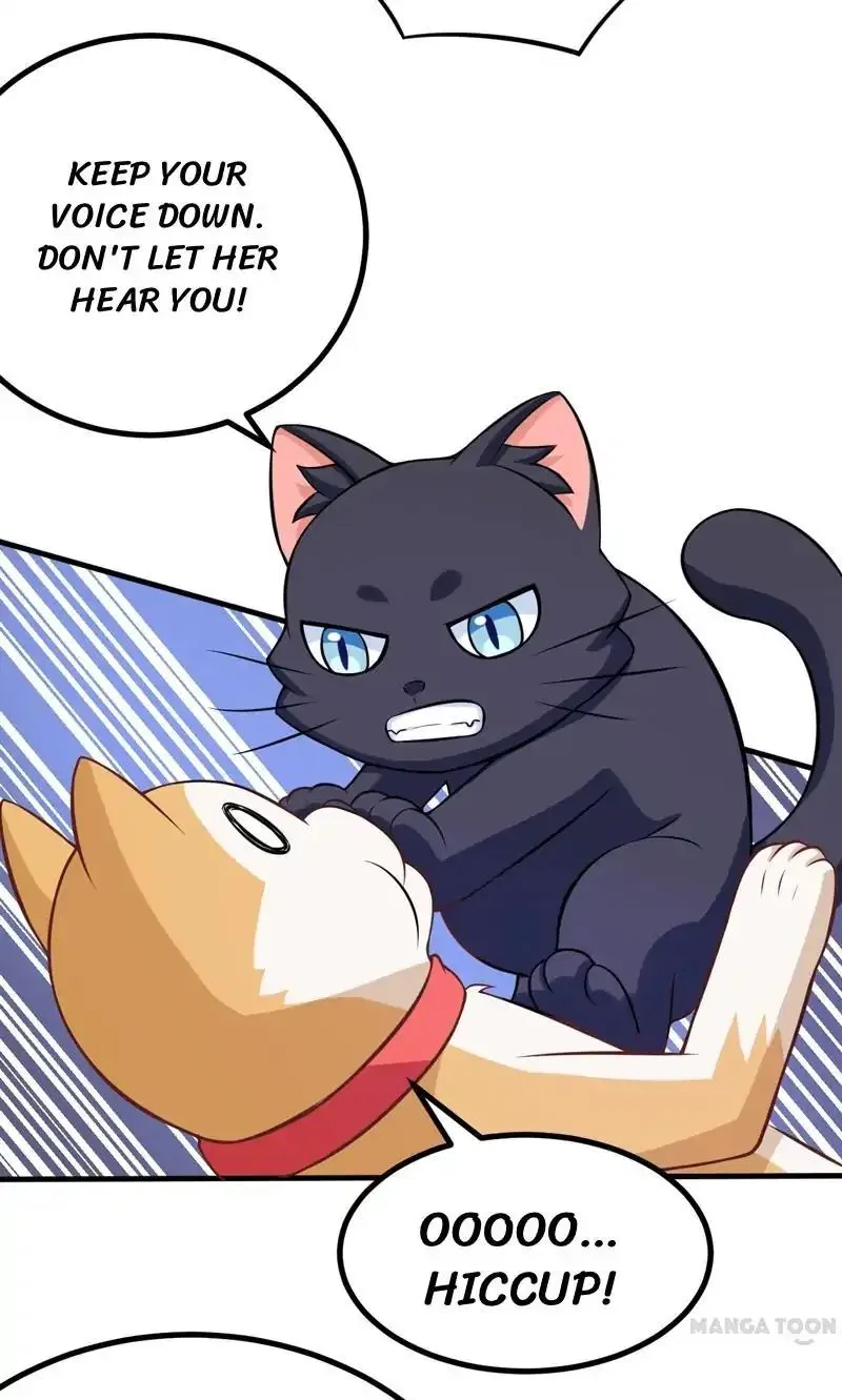 At Your Service, Kitty Chapter 82 – Page 19