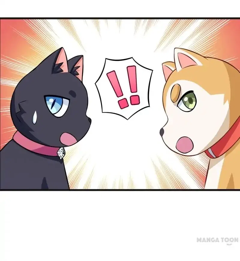 At Your Service, Kitty Chapter 82 – Page 29