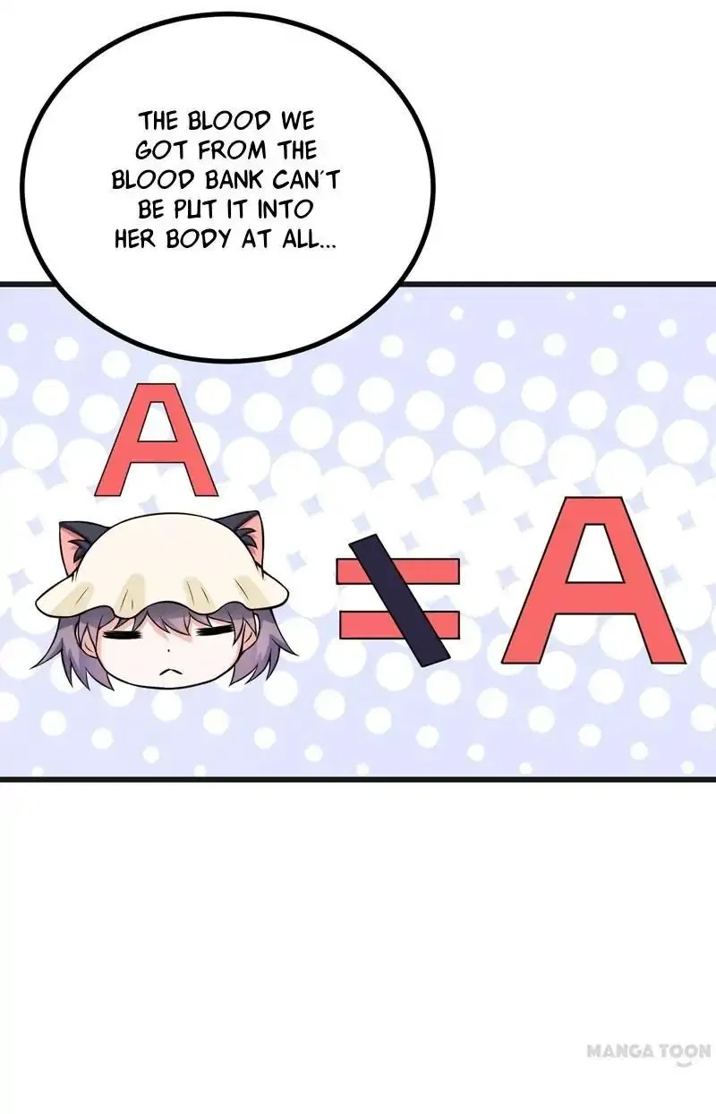 At Your Service, Kitty Chapter 69 – Page 5