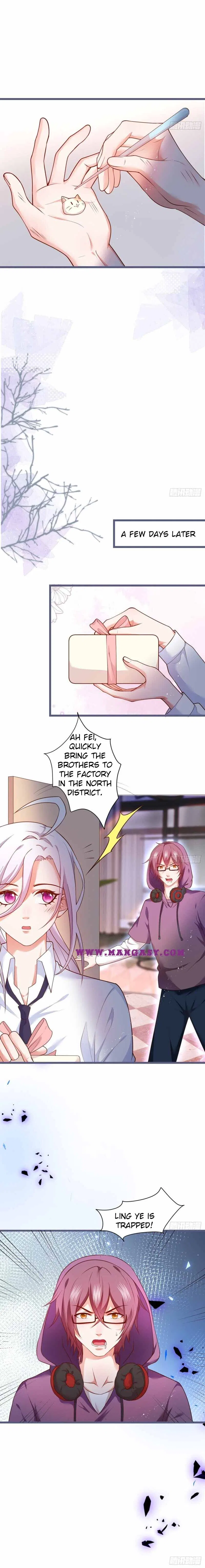The Underworld Gangster Is A Little Adorable Chapter 241 – Page 17