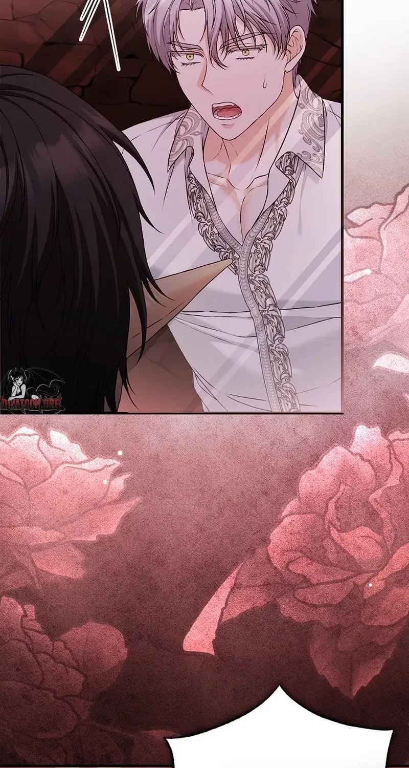 The Countess’s Secret Chapter 29 – Page 17