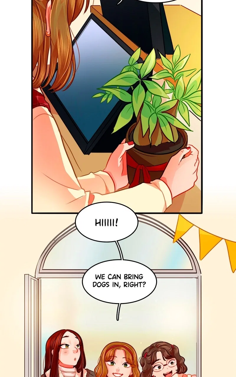Love 4 a Walk Chapter 96 – Page 13