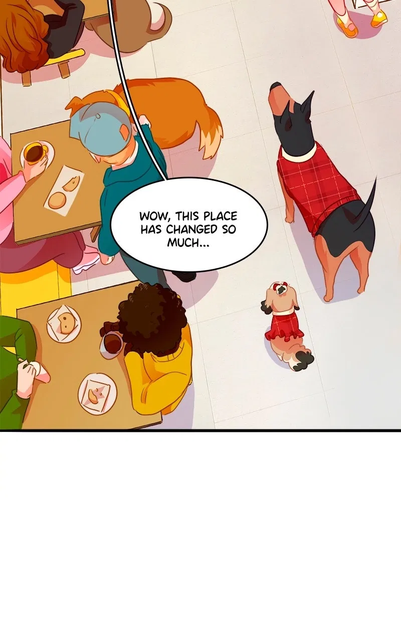 Love 4 a Walk Chapter 96 – Page 48
