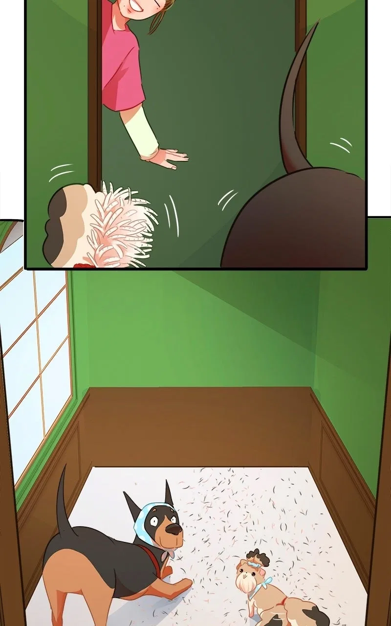 Love 4 a Walk Chapter 83 – Page 35