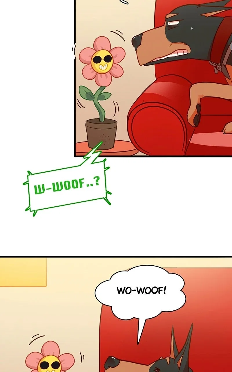 Love 4 a Walk Chapter 78 – Page 33