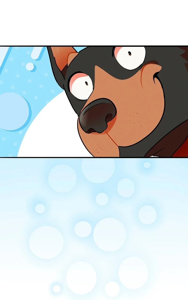 Love 4 a Walk Chapter 78 – Page 51