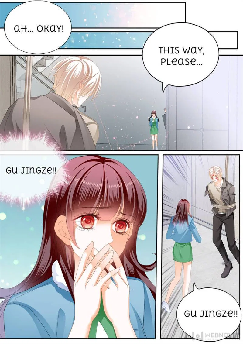 The Beautiful Wife of the Whirlwind Marriage Chapter 313 – Page 11