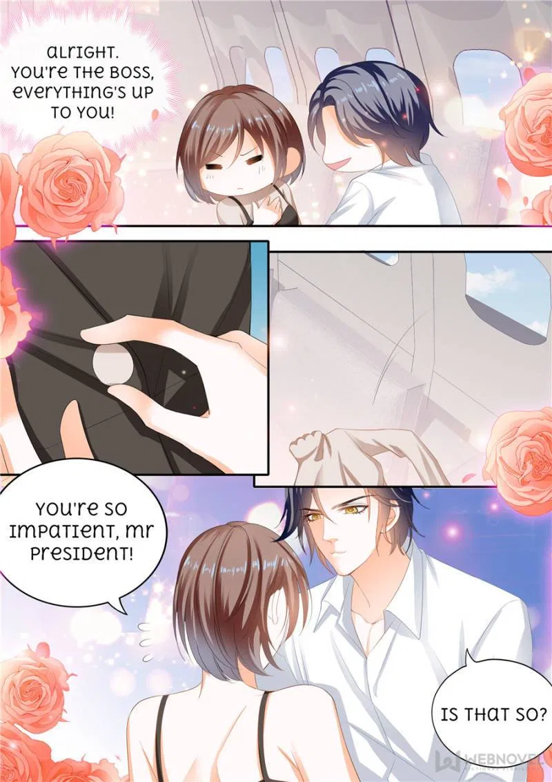 The Beautiful Wife of the Whirlwind Marriage Chapter 311 – Page 3