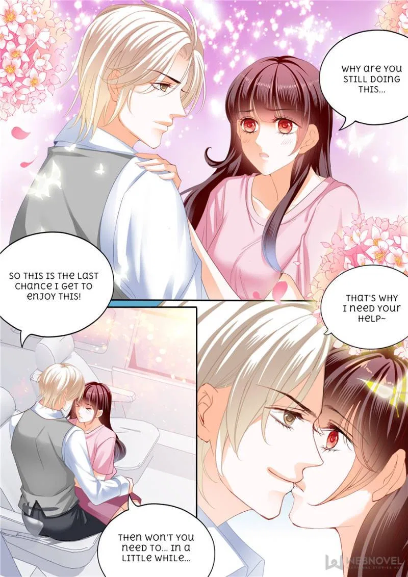 The Beautiful Wife of the Whirlwind Marriage Chapter 306 – Page 3