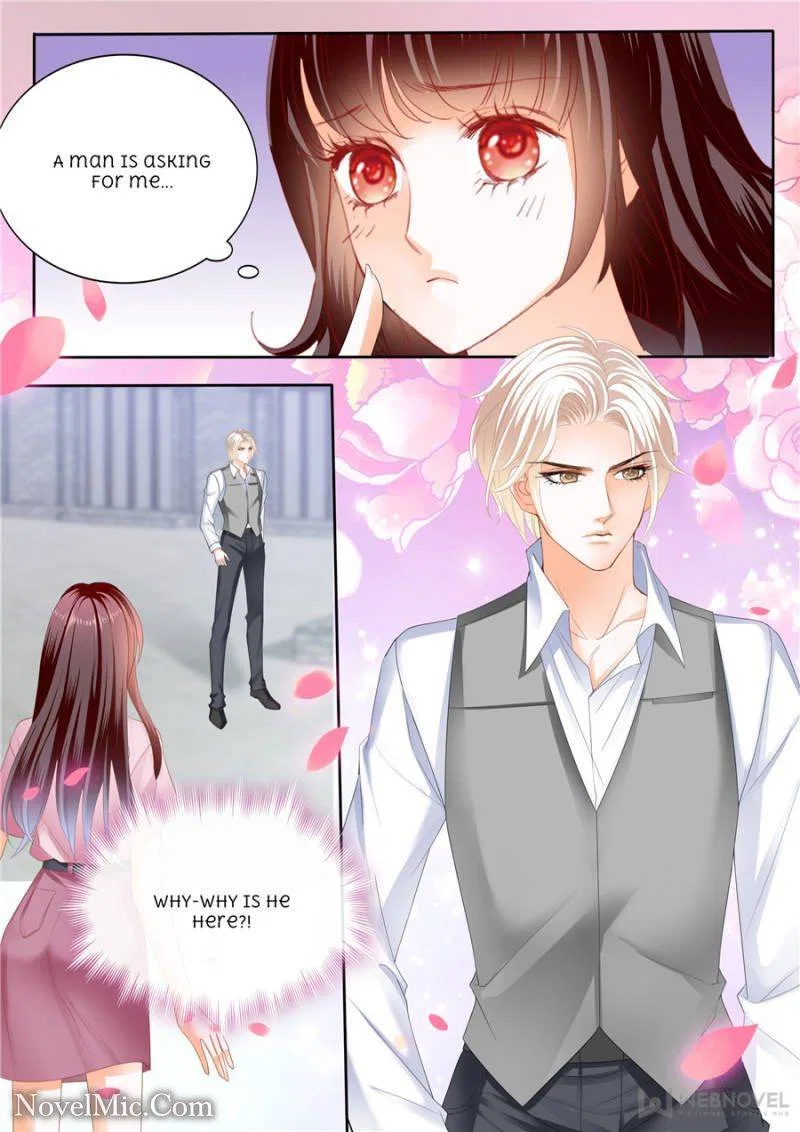 The Beautiful Wife of the Whirlwind Marriage Chapter 305 – Page 7