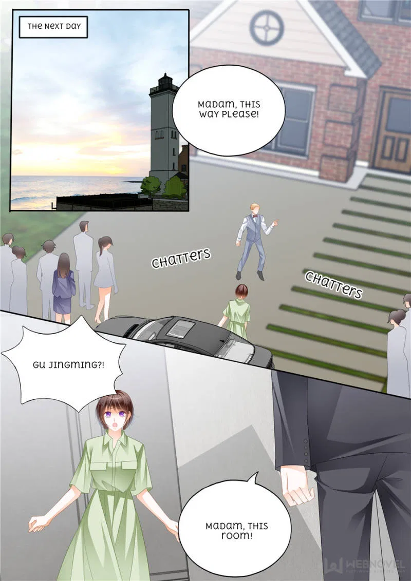 The Beautiful Wife of the Whirlwind Marriage Chapter 299 – Page 8