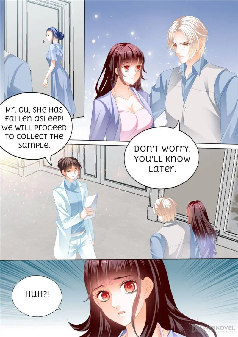 The Beautiful Wife of the Whirlwind Marriage Chapter 294 – Page 3