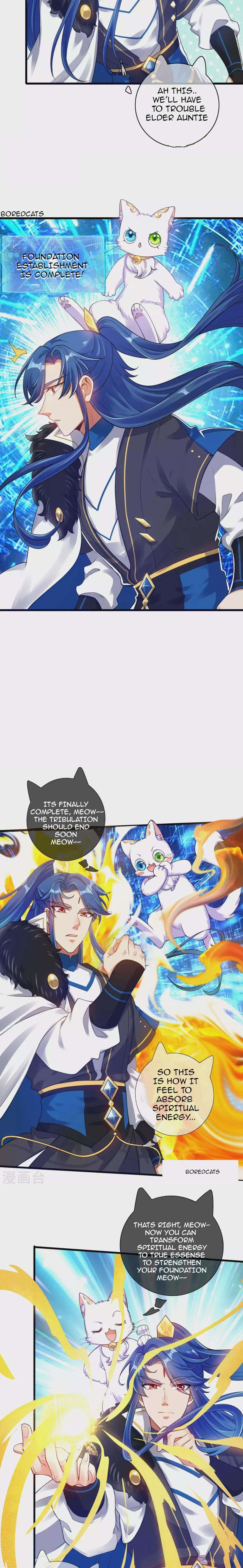Cat System The Emperor is a Cat Lover Chapter 74 – Page 3