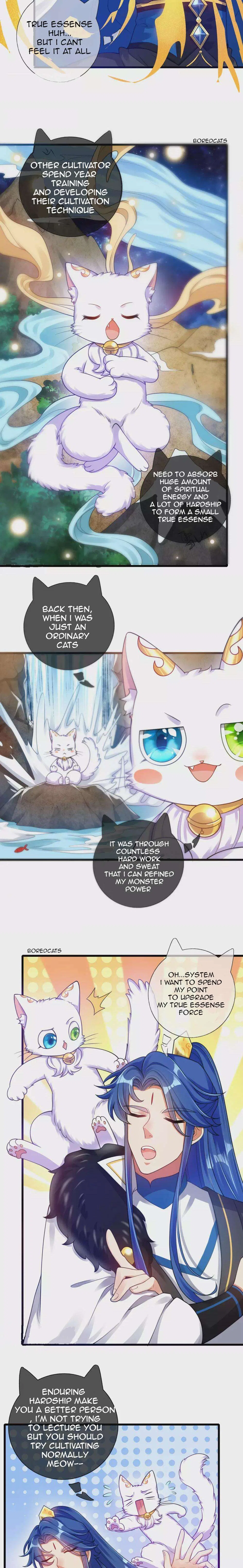 Cat System The Emperor is a Cat Lover Chapter 74 – Page 4
