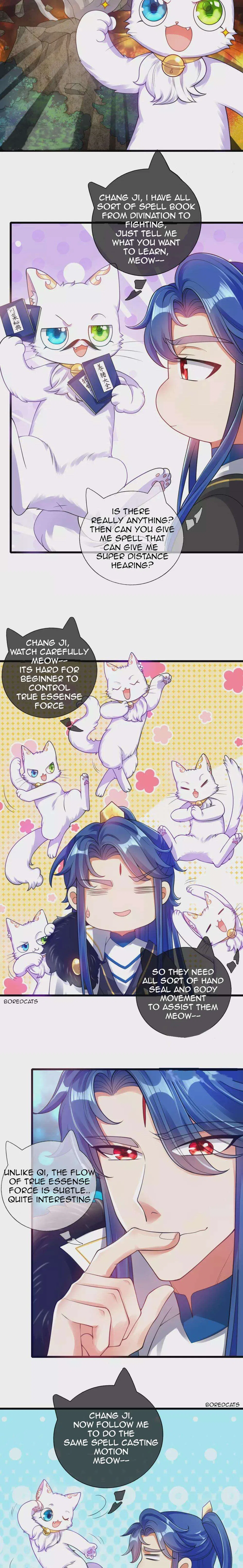 Cat System The Emperor is a Cat Lover Chapter 74 – Page 8