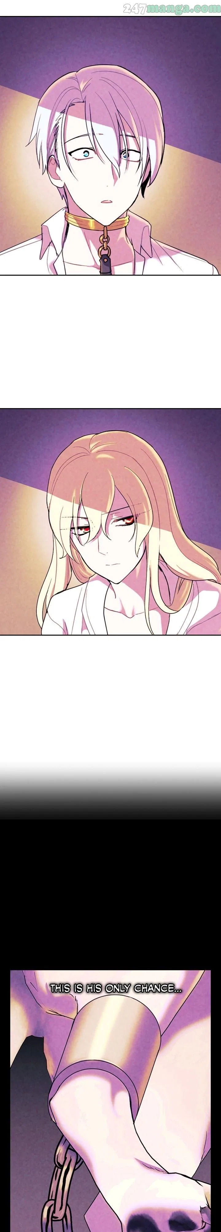 The Predatory Marriage Between the King and the Paladin Chapter 28 – Page 2