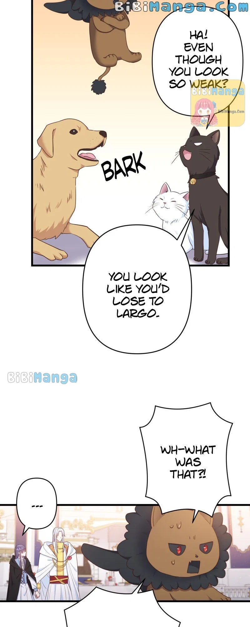 A Twist of Fate: A Wizard’s Fairy Tale Chapter 52 – Page 42