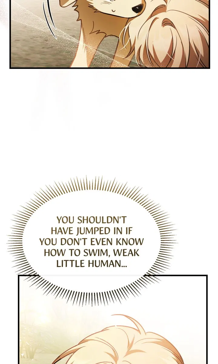 Shadowless Night Chapter 78 – Page 31