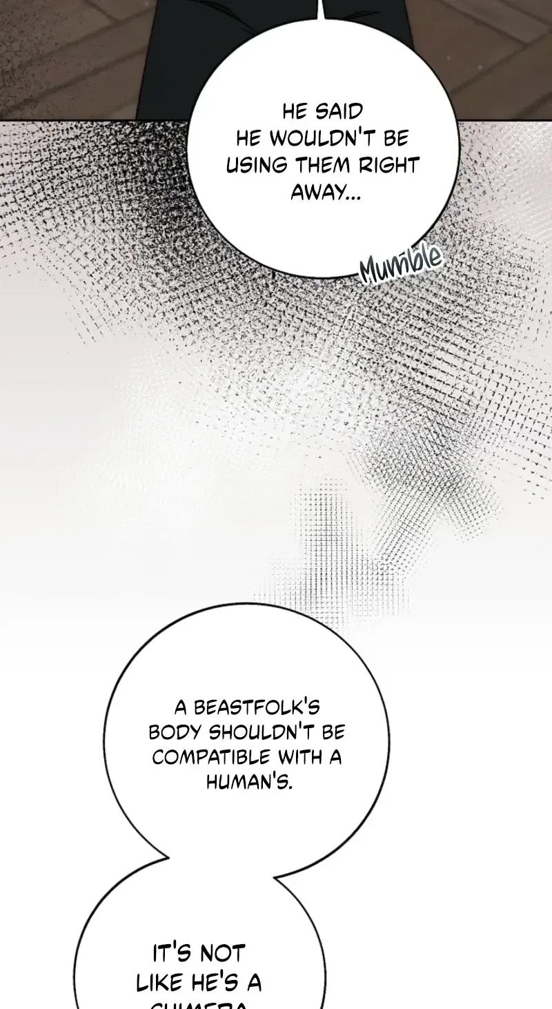 I Opened an Illegal Veterinary Clinic in Another World Chapter 42 – Page 49